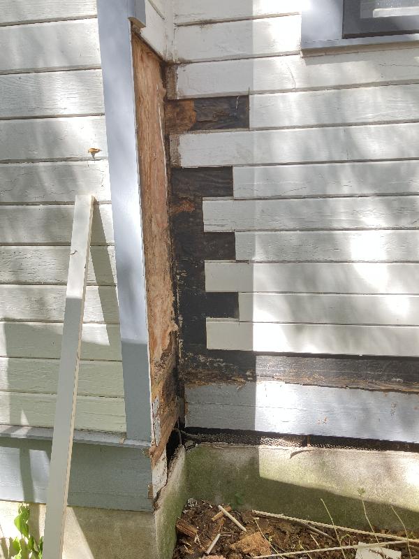 Rot begets more rot.