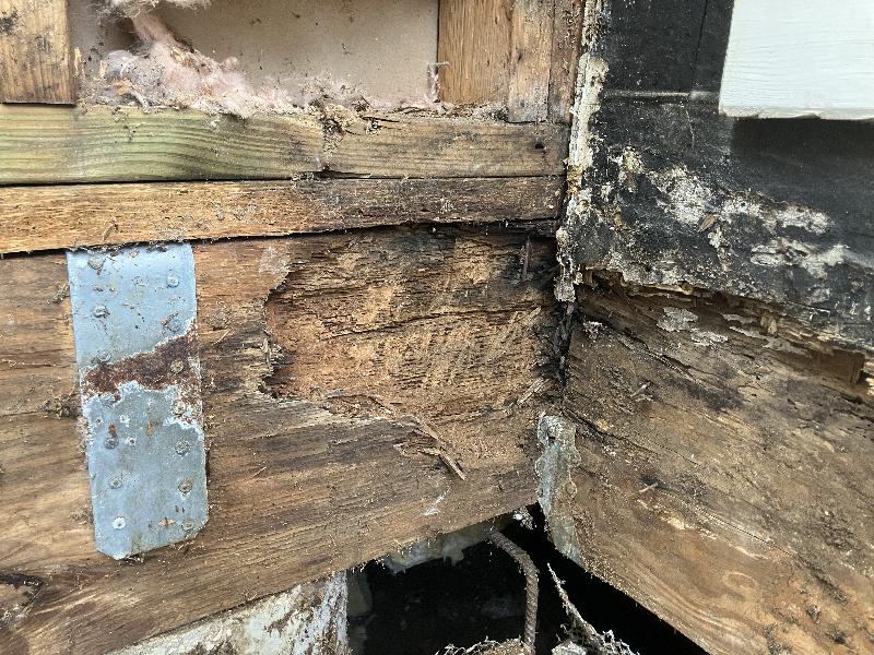 More detail of the structural beam rot before repair. 