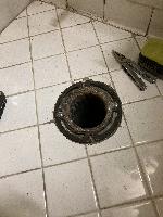 20260219-125307 (20260219-125307.jpg)