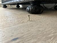 20260223-161835 (20260223-161835.jpg)