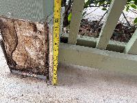   (20260521-143435.jpg)