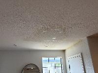   (20260522-125827.jpg)